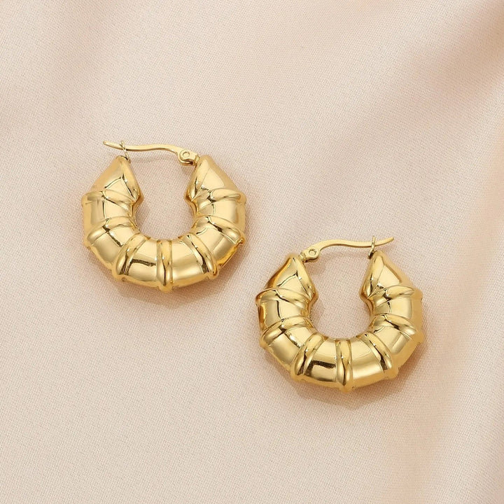 Stainless Steel Hinged Hoop Earrings LOVCIA