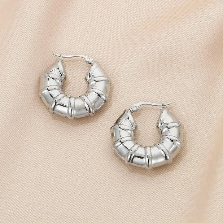 Stainless Steel Hinged Hoop Earrings LOVCIA