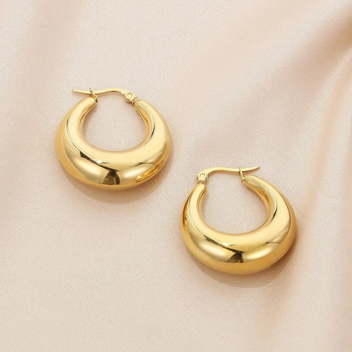 Stainless Steel Hinged Hoop Earrings LOVCIA