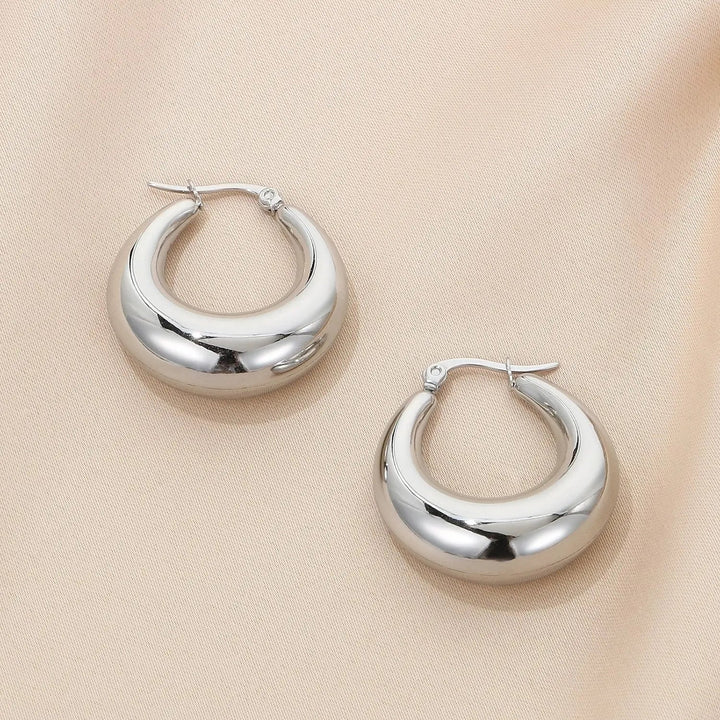 Stainless Steel Hinged Hoop Earrings LOVCIA