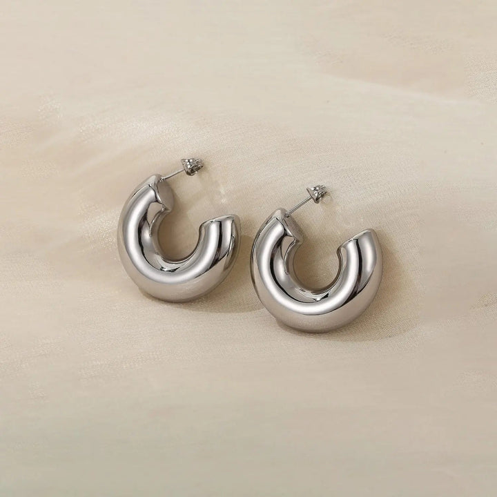 LOVCIA Stainless Steel C-Hoop Earrings