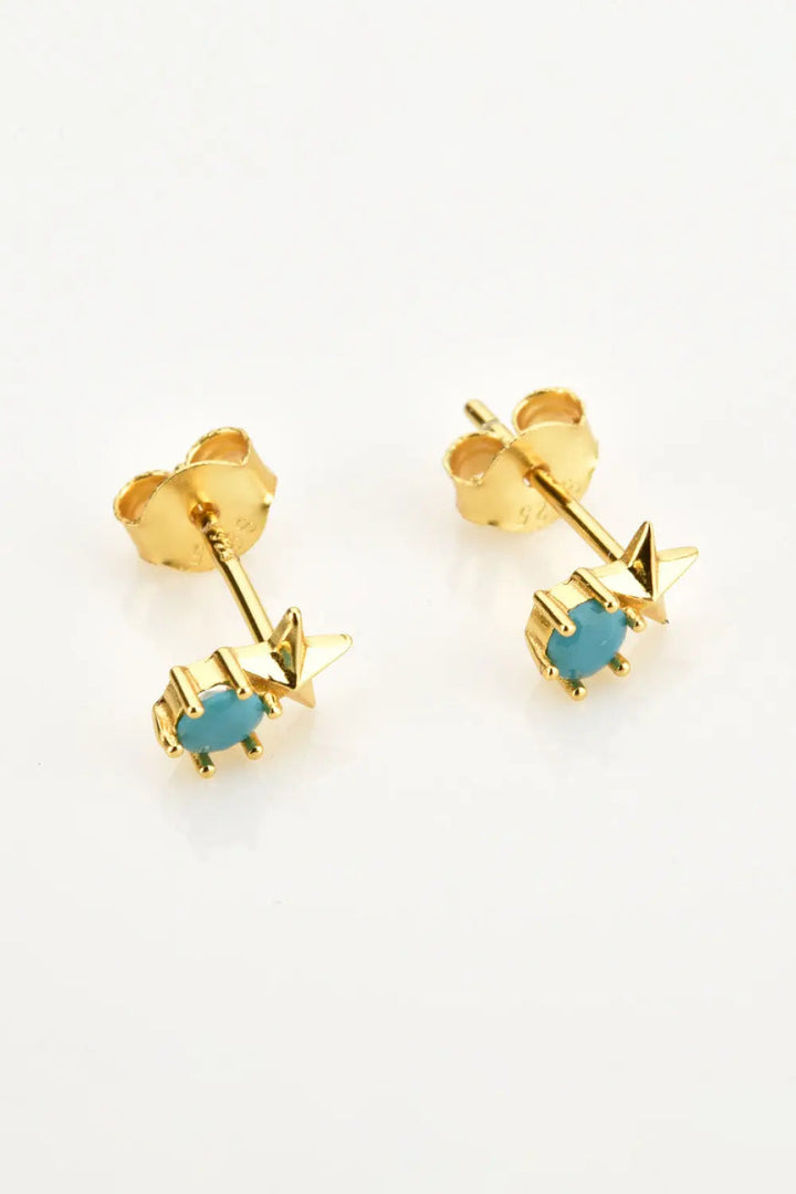 Zircon Star Stud Earrings LOVCIA