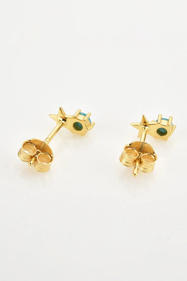 Zircon Star Stud Earrings LOVCIA