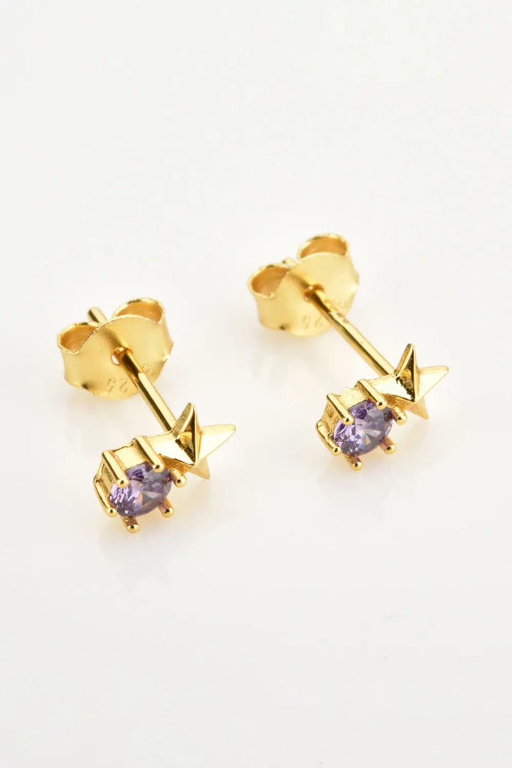 Zircon Star Stud Earrings LOVCIA